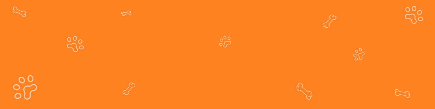 banner-bg-png