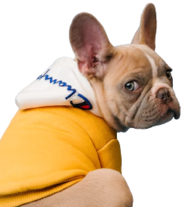 image-png